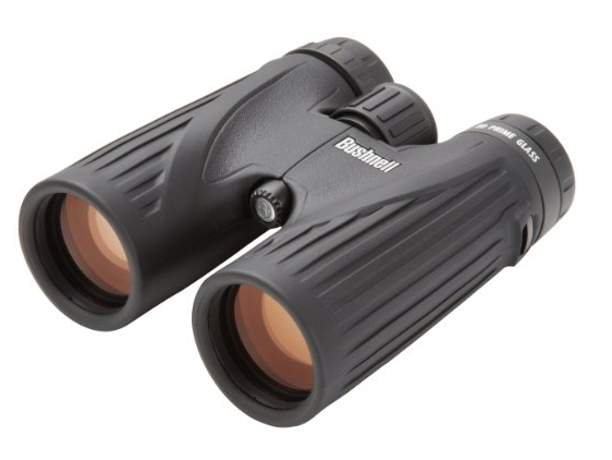 Bushnell Legend Ultra HD 10x42