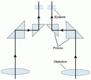 optics den how binoculars work birding